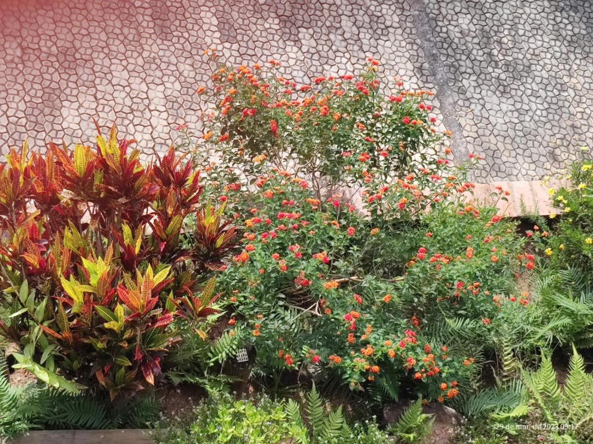 Natureza E Arte Estalagem Cunha